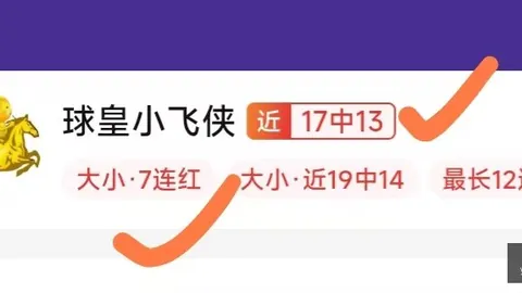 2026美职联独家解析世界杯历史：休斯顿华盛顿联，赛事前瞻